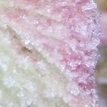 Fleurs blanches givrées